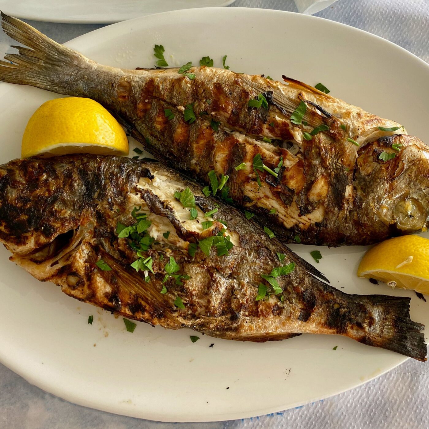 Grilled Greek Fish